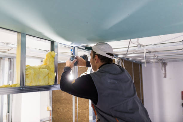 Best Insulation for Specific Applications in Conneaut Lakeshore, PA